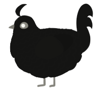 A black chicken with a lace pattern