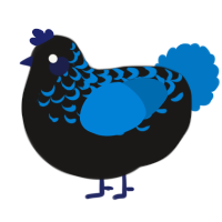 A sable and sapphire chicken with a half-lace pattern