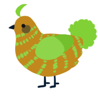 A ochre and grass chicken with a bar pattern