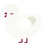 A white chicken with a lace pattern