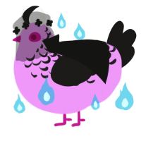 Illusion, a lavender and sable chicken with a half-lace pattern
