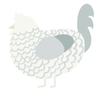 A white and silver chicken with a lace pattern