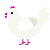 A white chicken