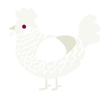 A white chicken with a lace pattern