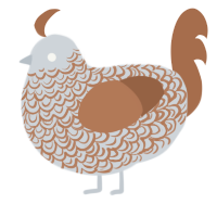 A mist and brown chicken with a double-lace pattern