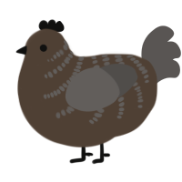 A bark and grey chicken with a half-bar pattern