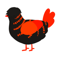 A sable and vermilion chicken with a half-bar pattern