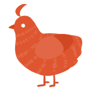 A vermilion chicken with a bar pattern