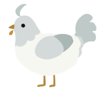 A white and silver chicken with a head pattern