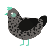 A grey and black chicken with a speckle pattern