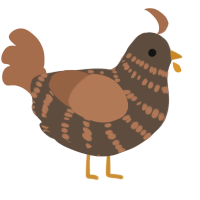 A bark and brown chicken with a bar pattern