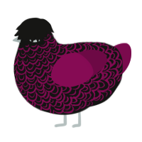 A black and wine chicken with a double-lace pattern