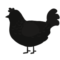 Scrying Mirror, a black and sable chicken with a half-lace pattern