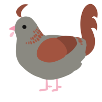 (unnamed), a ash and russet chicken with a neck-band pattern