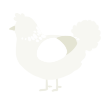 A white chicken with a neck-speckle pattern