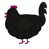 A black and sable chicken with a bar pattern