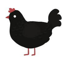 A black and sable chicken with a half-lace pattern