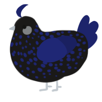 A sable and navy chicken with a speckle pattern