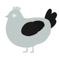 A silver and sable chicken