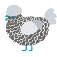 A grey and mist chicken with a lace pattern