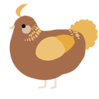 A brown and honey chicken with a neck-band pattern