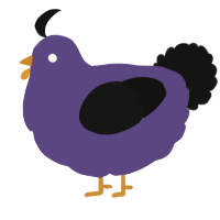 A overcast and black chicken