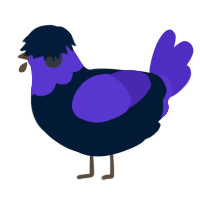 Morrigan, a tumblr and indigo chicken with a head pattern