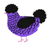 A blurple and black chicken with a lace pattern