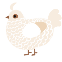 A cream chicken with a lace pattern