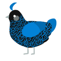 A black and sapphire chicken with a double-lace pattern