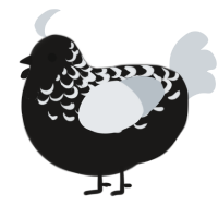A sable and mist chicken with a half-lace pattern