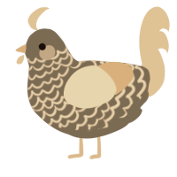A grey and beige chicken with a lace pattern