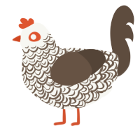 A white and bark chicken with a double-lace pattern