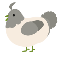A cream and ash chicken with a head pattern