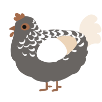 A grey and cream chicken with a half-lace pattern