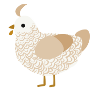 Army Dreamers, a white and beige chicken with a double-lace pattern