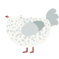 (unnamed), a white and silver chicken with a speckle pattern