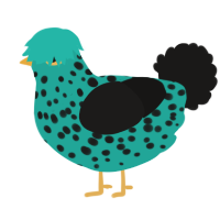 A turquoise and sable chicken with a speckle pattern
