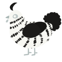 A white and sable chicken with a bar pattern