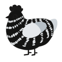 A black and mist chicken with a bar pattern