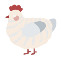 A cream and mist chicken with a bar pattern