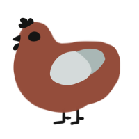 Eye G, a russet and silver chicken