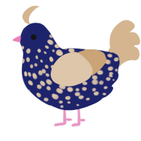 A navy and beige chicken with a speckle pattern