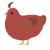 (unnamed), a red and russet chicken with a lace pattern