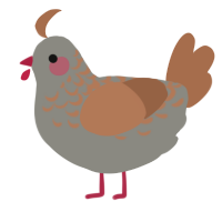 A ash and brown chicken with a half-lace pattern