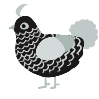 A sable and silver chicken with a lace pattern
