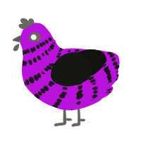 Tak, a amethyst and black chicken with a bar pattern
