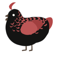 A black and red chicken with a half-lace pattern