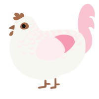 A white and rose chicken with a half-lace pattern