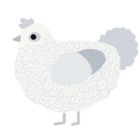 A white and mist chicken with a double-lace pattern